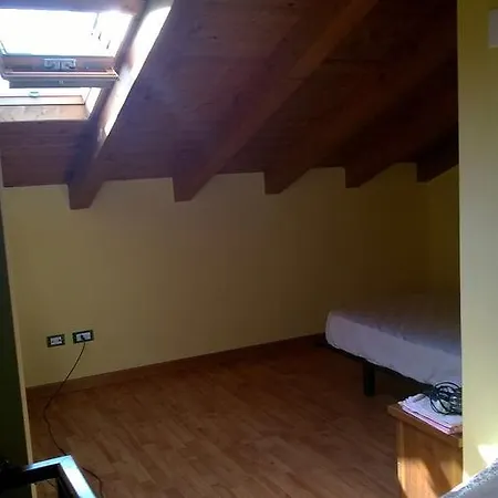 Oasi *