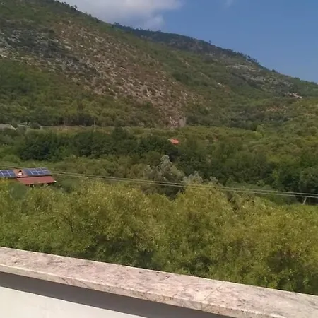 Oasi *
