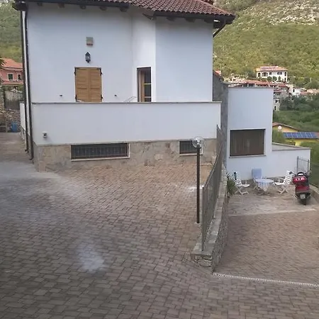 Oasi *